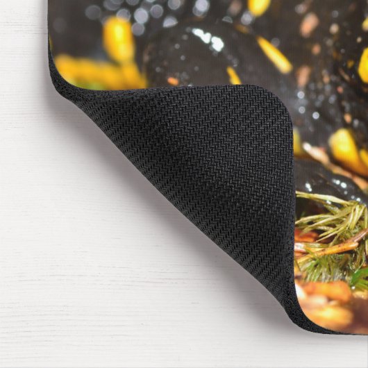 Schöner Feuersalamander Mousepad (Ecke)