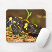 Schöner Feuersalamander Mousepad (Mit Mouse)