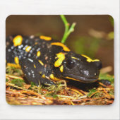 Schöner Feuersalamander Mousepad (Vorne)