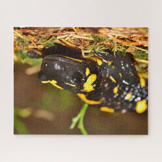 Schöner Feuersalamander Puzzle (Horizontal)