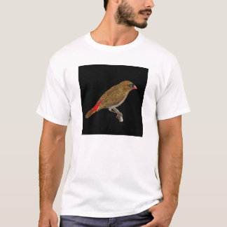 Schöner Firetail Fink - Stagonopleura T-Shirt