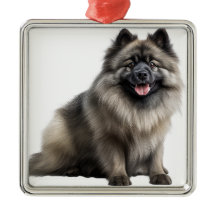 SCHÖNER FLUFFY KEESHOND PUPPY HUND