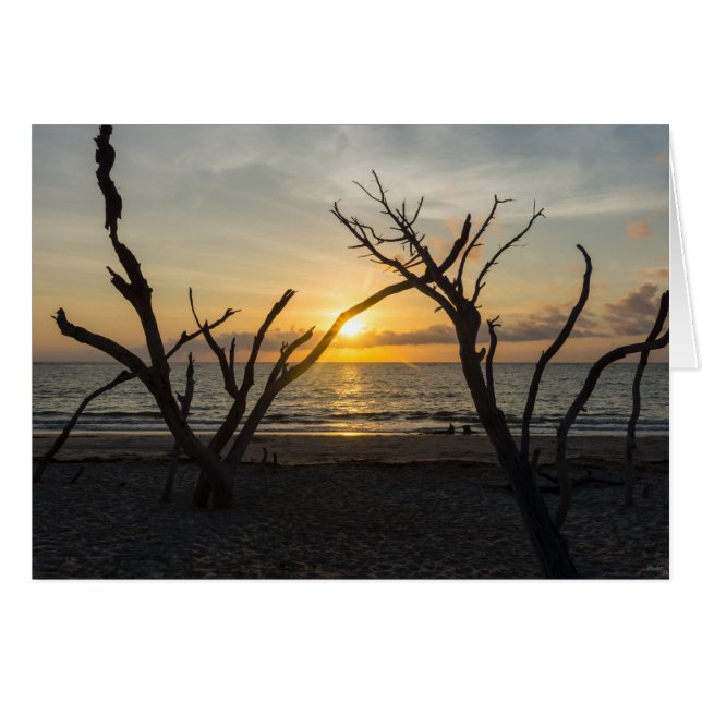 Schöner Folkloremorgen (Vorderseite (Horizontal))