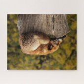 Schöner Fox Schlafen auf einem Baumstumpf Puzzle (Horizontal)