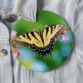 Schöner Frack-Schmetterling auf hübschen Blume Button (Beispiel)