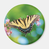 Schöner Frack-Schmetterling auf hübschen Blume Magnet (Vorne)