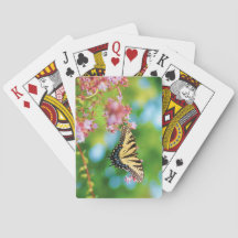 Schöner Frack-Schmetterling auf hübschen Blume