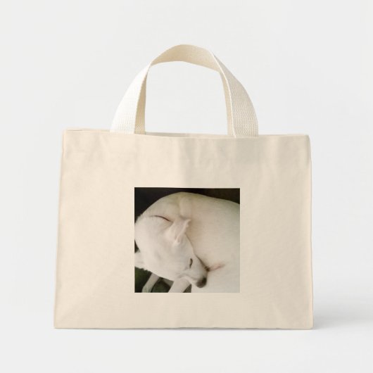 Schöner Friedlicher Polar White Labrador Mix Mini Stoffbeutel (Vorne)