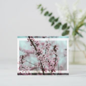 Schöner Frühling Cherry Blossom Postkarte (Stehend Vorderseite)