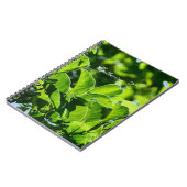 Schöner Frühling, Sommer grün Blätter. Name hinzuf Notizblock (Linke Seite)