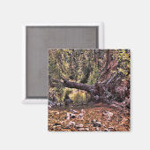 Schöner Frühlingmorgen.... Magnet (Vorderseite/Rückseite)