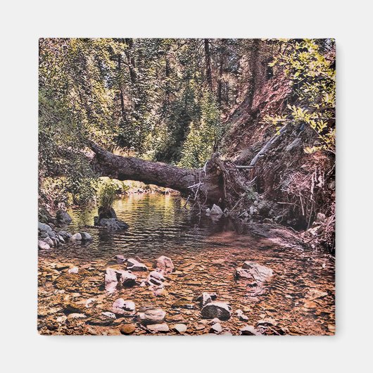 Schöner Frühlingmorgen.... Magnet (Vorne)