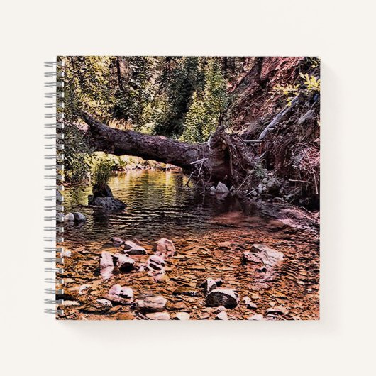 Schöner Frühlingmorgen.... Notizblock (Vorderseite)