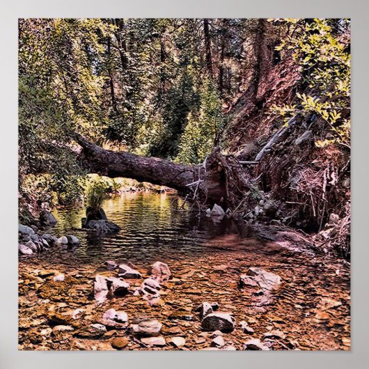 Schöner Frühlingmorgen.... Poster (Vorne)