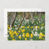 Schöner Frühlingsgarten Postkarte (Vorne/Hinten)