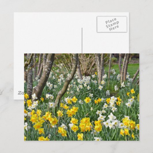 Schöner Frühlingsgarten Postkarte (Vorne/Hinten)
