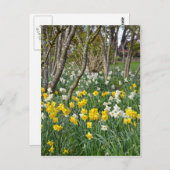Schöner Frühlingsgarten Postkarte (Vorne/Hinten)
