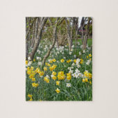 Schöner Frühlingsgarten Puzzle (Vertikal)