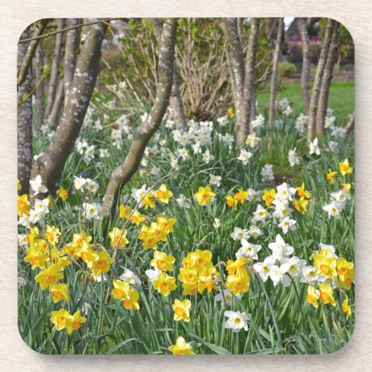 Schöner Frühlingsgarten Untersetzer (Vorderseite)