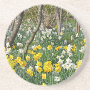 Schöner Frühlingsgarten Untersetzer