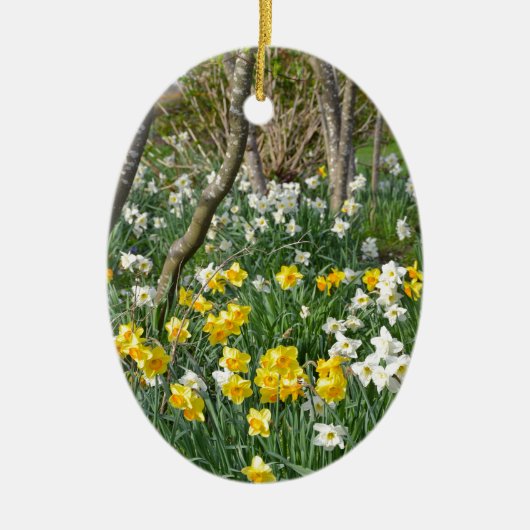 Schöner Frühlingsnarzissengarten Keramikornament (Vorne)