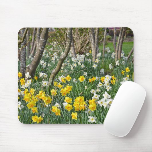 Schöner Frühlingsnarzissengarten Mousepad (Mit Mouse)