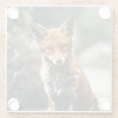 Schöner Fuchs im Grünen Glasuntersetzer (Rückseite)