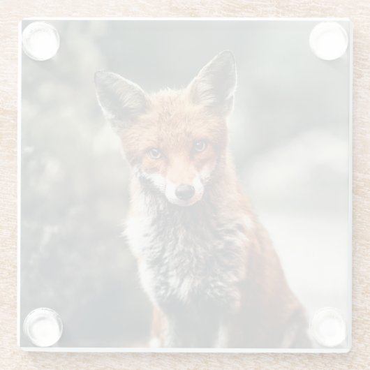 Schöner Fuchs im Grünen Glasuntersetzer (Rückseite)