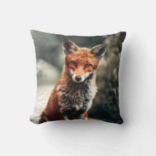 Schöner Fuchs im Grünen Kissen