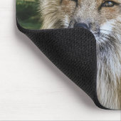 Schöner Fuchs im Grünen Mousepad (Ecke)