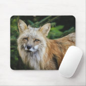 Schöner Fuchs im Grünen Mousepad (Mit Mouse)