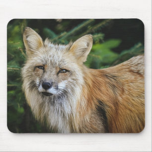 Schöner Fuchs im Grünen Mousepad