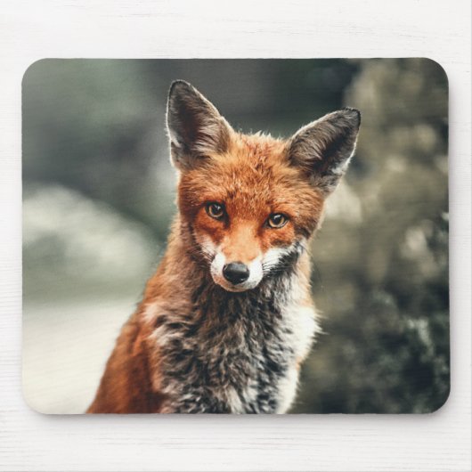Schöner Fuchs im Grünen Mousepad (Vorne)
