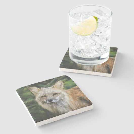 Schöner Fuchs im Grünen Steinuntersetzer (Seitenansicht)