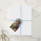Schöner Garten für Katzen Geschenkanhänger (Mit Garn)