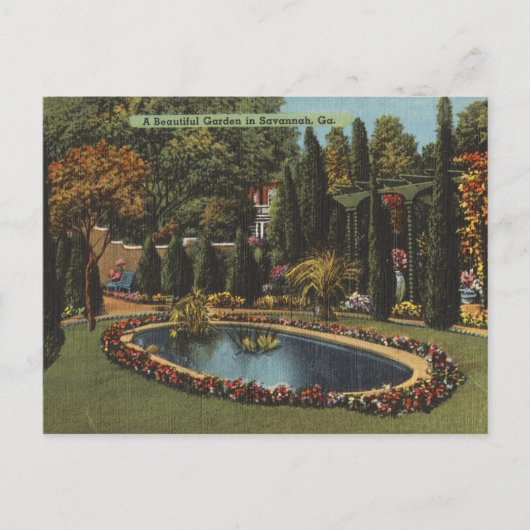 Schöner Garten in Savannah GA Postkarten (Vorderseite)