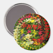 Schöner Garten...... Magnet (Vorderseite/Rückseite)