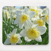 Schöner Garten mit weißen und gelben Daffodien Mousepad (Vorne)