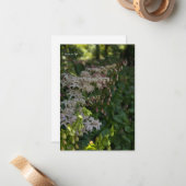 Schöner Garten Mitteilungskarte (Vorderseite/Rückseite Beispiel)