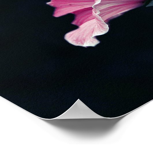 Schöner Garten Rosa Rose Blume Poster (Ecke)