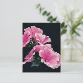 Schöner Garten Rosa Rose Blume Postkarte (Stehend Vorderseite)