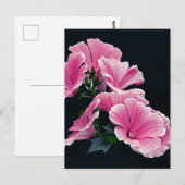 Schöner Garten Rosa Rose Blume Postkarte (Vorne/Hinten)