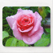 Schöner Garten-Single-nasse rosa Rose Mousepad (Vorne)
