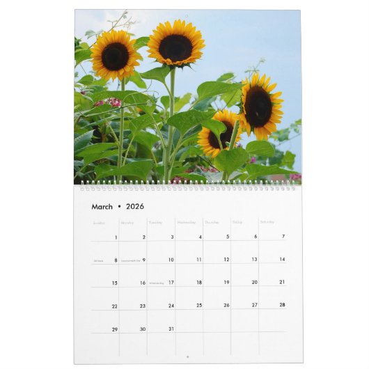 Schöner Gartenkalender Kalender (Mär 2026)