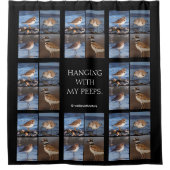 Schöner, gedämpfter Plover am Strand Duschvorhang (Vorderseite)