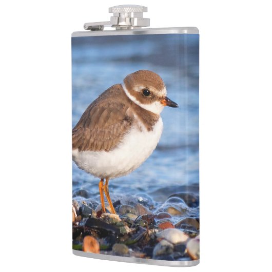 Schöner, gedämpfter Plover am Strand Flachmann (Links)