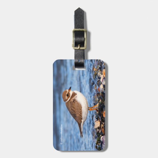 Schöner, gedämpfter Plover am Strand Gepäckanhänger (Vorderseite vertikal)