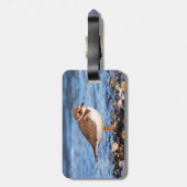 Schöner, gedämpfter Plover am Strand Gepäckanhänger (Rückseite vertikal)