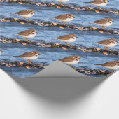 Schöner, gedämpfter Plover am Strand Geschenkpapier (Ecke)