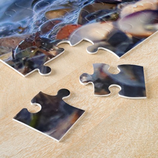 Schöner, gedämpfter Plover am Strand Puzzle (Seite)